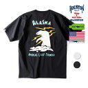 HOUSTON / ヒューストン 22203 RECYCLE US COTTON PRINT TEE(ALASKA) / リサイクルUSAコットンプリント半袖Tシャツ -全2色- メンズ シンプル ミリタリー 大きいサイズ アラスカ スカジャン 白熊 アメカジ ヴィンテージ [22203]