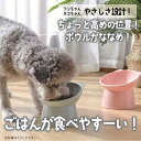 ごはんがたべやすいペットフードボウル ブルー グリーン ピンク 犬 猫 食器 餌皿 エサ皿 グッズ プレゼント ギフト なないろ堂