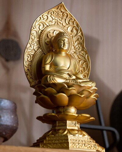 ʩ�� ���ǡ����� 15cm(���å�/24��) ʩ�ա����Ľ��� ����������ƶ�����׺ѽ���ŷ�潡�� �ⲬƼ��(���㤫�ˤ�餤��)