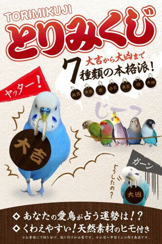 軽い鳥用おみくじ 　 あなたの愛鳥が占う運勢は？　とりが運ぶおみくじ 7種類の本格派　組み立て済み