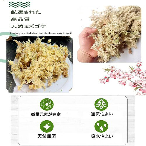 水苔 園芸用 圧縮水苔 胡蝶蘭 ミズゴケ 多肉植物 観葉植物 食虫植物 乾燥水ごけ 植...