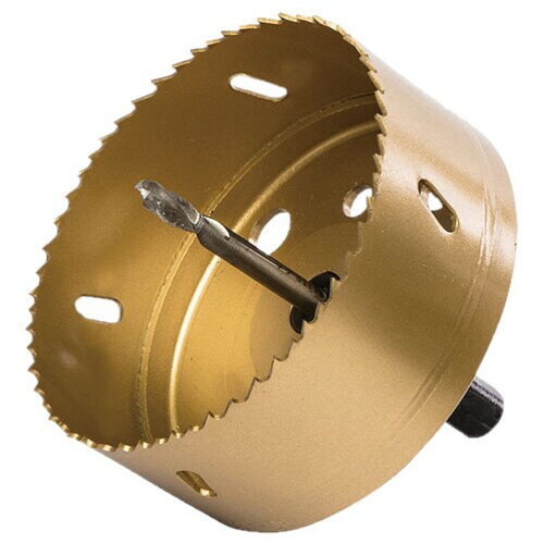 ウイニングボアー ダウンライトマン[ファイ]100ホールソー DBC-100