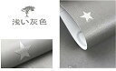 ASB壁紙45cm×10m簡単、便利だ防水星の壁ステッカー裂き即ち貼る部屋をリニューアルする (浅いグレイ)