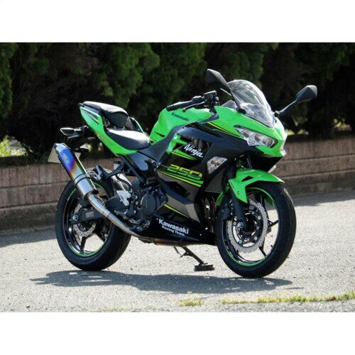 WR`S S/O ラウンド焼き色チタンサイレンサー Ninja250 18-(2BK-EX250P) BK4270JM