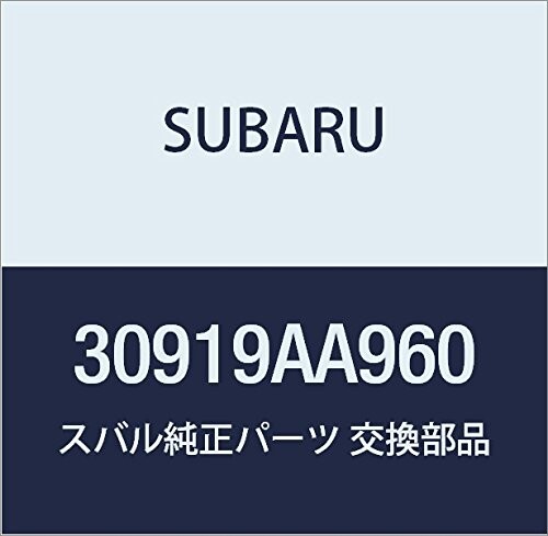 SUBARU (スバル) 純正部品 ユニツト AT コントロール レガシィB4 4Dセダン レガシィ 5ドアワゴン 品番30919AA960