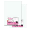 長門屋商店 薄口ボール紙 2冊セット ナ-SB034 A4 10枚P