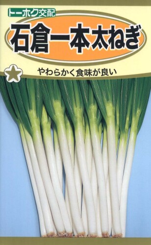 株式会社トーホク 石倉一本太ねぎ 02198