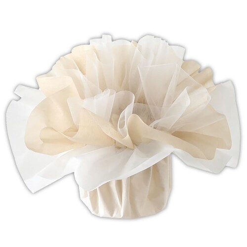 إå(Heads) ֡åԥ W240D240H170mm S 10 ۥ磻 եåȥ Կ 󥸡 3 HEADS FSD-WS1