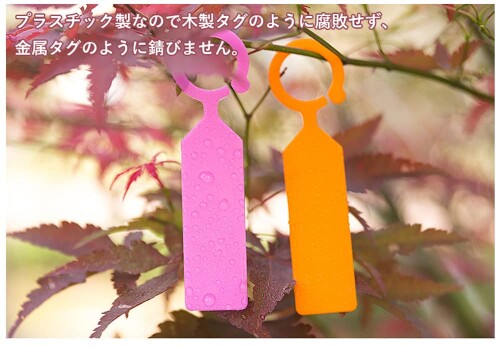 �����ǥ����ե��� ����ѥ�٥� �ߤ겼�������� B �� ���ڤ˰���Ĥ������ʪ��̾������ 100�����å�