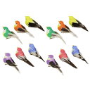 PETSOLA 小鳥 置物 12個 鳥のオブジェ 小鳥おもちゃ リアル 生き生き 鳥の装飾 インテリア 固定用ワイヤー付き 雑貨 プレゼント