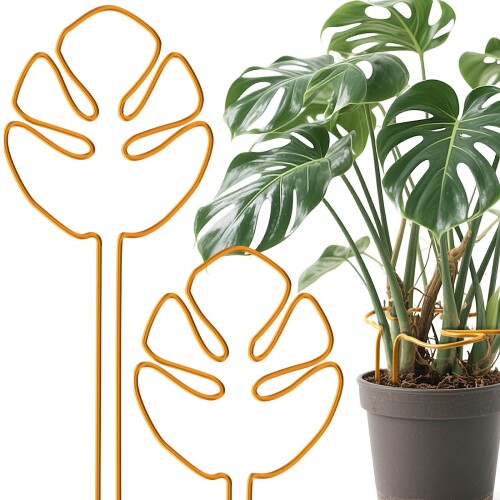 Neiang モンステラ 支柱 2本セット 観葉植物 支柱 モンステ 園芸 植物サポート 合金製 ココナッツ へご 支え ガーデニング用 転倒防止 パッケージ内容:これらの支柱セットには、モンステラ 支柱2個あります。豊富な量で、さまざまなニーズを満たすだけでなく、友人や家族と一緒に植えるを楽しむこともできます 優れる素材:これらの園芸 支柱は良質の合金素材で作られており、表面には防水性と防汚性を備えた塗料があり、日常の汚れや湿気による浸食に耐えるだけでなく、錆びにくいです。合金材料は耐腐食性が優れ、耐荷重性も強くて、湿気の多い環境に長時間置いても酸化や摩耗しにくいです。成長中の植物の重さに耐えることができ、長期的に安定し、持続的なサポートを提供します ユニークなデザイン:支柱 園芸のサイズは約28×16cmで、さまざまな鉢植えに適しています。ユニークな葉の形のデザインは、植物を美しくに見せるだけでなく、装飾としても役立ちます。植物を支えながら空気循環を維持し、どの葉も日光を十分に享受できるようにして、植物に良好な育て環境を作り出し、光合成を促進し、植物が健全に成長するのを助けます 思いやりの贈り物:植物好きへのプレゼントにしては最適です。誕生日、引っ越しの祝い、祝日などに、こちらの観葉植物 支柱は植物好きの友人、家族、同僚への実用的で心のこもった贈り物になります。相手が植物サポートを使って植物の世話をしているとき、この思いやりを思い出すことができ、このガーデニング用支柱は感情と祝福を伝える絆になります 多用途:こちらのモンステラ 支柱はモンステラ、芭蕉、ポトス、アレカヤシなどのやや大きめの緑竹に用いられ、枝の倒伏を防止し、植物の成長や外観に影響を与えるのを防ぎます。トマト、ナス、ピーマンなど実の重い野菜の園芸 支柱としても使えます 商品コード62080245445商品名Neiang モンステラ 支柱 2本セット 観葉植物 支柱 モンステ 園芸 植物サポート 合金製 ココナッツ へご 支え ガーデニング用 転倒防止型番10306カラーゴールド※他モールでも併売しているため、タイミングによって在庫切れの可能性がございます。その際は、別途ご連絡させていただきます。※他モールでも併売しているため、タイミングによって在庫切れの可能性がございます。その際は、別途ご連絡させていただきます。