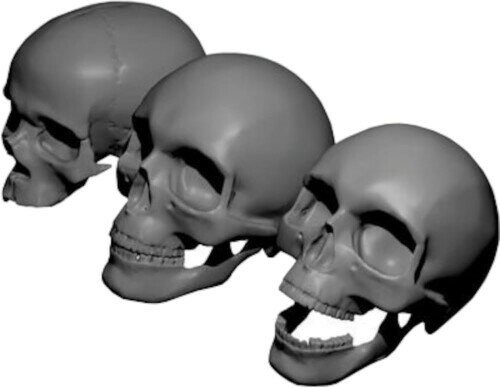 エフシーモデル 1/35 ドクロセット ミニチュア用アクセサリー FC35519