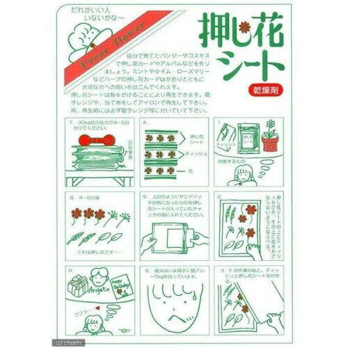 押し花 『押し花シート』