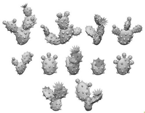 GREEN STUFF WORLD グリーンスタッフワールド ジオラマアクセサリー 3Dプリントセット ウチワサボテン ..