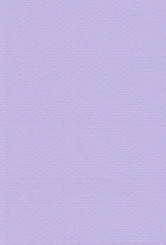 エスケント 色画用紙 リブカラー A5 バイオレット 100枚 27041501