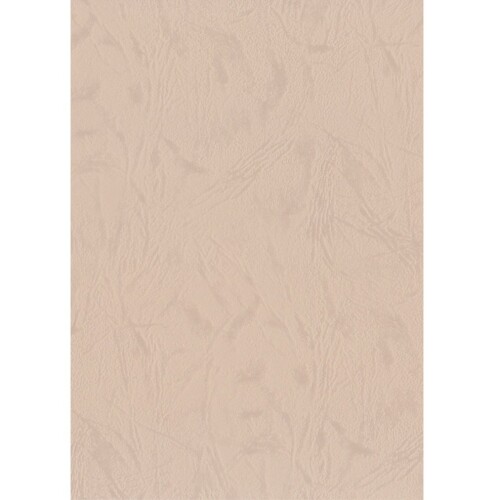 エスケント 色画用紙 スターレザー 四切 ジンジャー 50枚 5504852