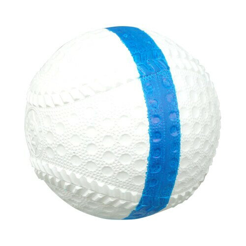 トレーニングボール 回転チェックボール69 ブルー/白