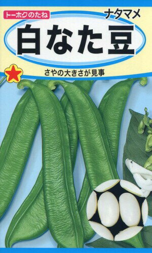 株式会社トーホク 白なた豆 06361