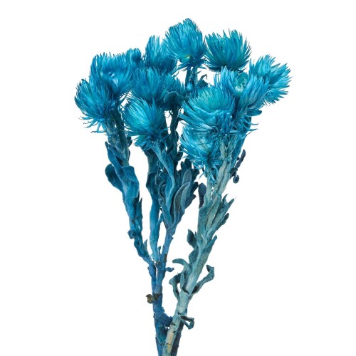 東京堂(Tokyodo) シルバーデージーミニ #313マリンブルー 約L30cm 20g入 FD004441-313