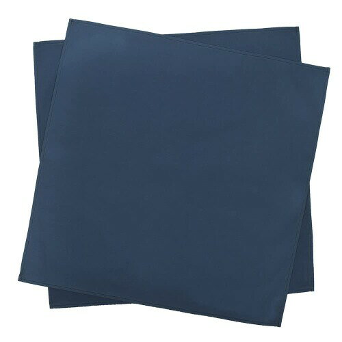 スタイルデコール(STYLE Decor) テーブルナプキン/トーション 2枚セット 無地オックス・ネイビーブルー 布巾 ふきん ナフキン カラーナプキン 厚手 食器拭き W5104000