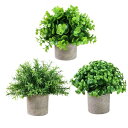 フェイクグリーン 観葉植物 フェイク 小さい 室内 3個セット インテリア プレゼント