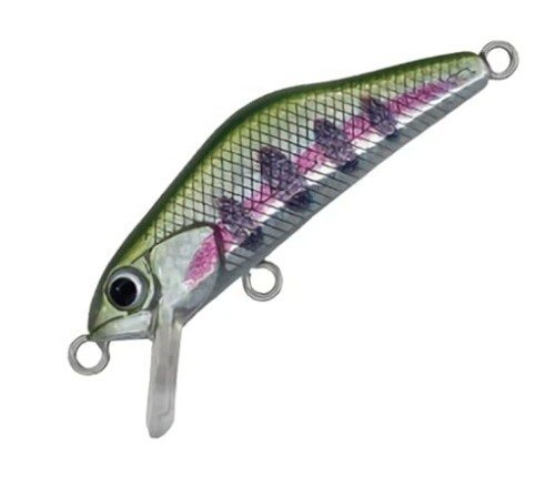 アイビーライン(Ivyline) T-Gravits 36S T17 ヤマメ