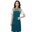 (anyasun) エプロン H型 首掛け シンプル 女性用 3点セット 大容量ポケット 仕事用 料理教室 家庭用 カフェエプロン (F02:レイクブルー)