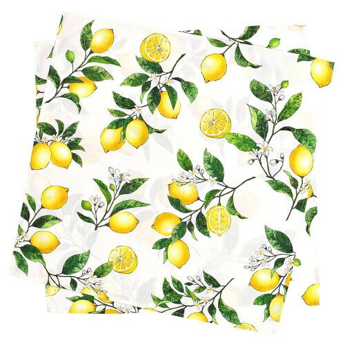 テーブルナプキン／トーション 2枚セット シトラスレモン 布巾 ふきん ナフキン カラーナプキン 厚手 食器拭き W5101800