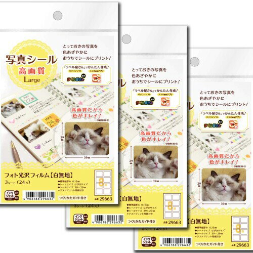 楽天ユニオンエーワン 写真シール フォト光沢フィルム（白無地） Large 3シート 3個セット 29663-3P