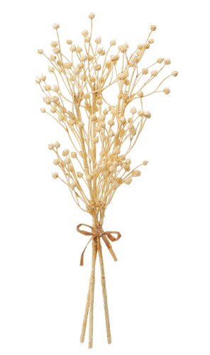 アスカ商会(Asca) 造花 フラックスシードバンチ ベージュ 全長:約31cm、実:約0.5~0.7cm 1束(3本組) A-47985-008