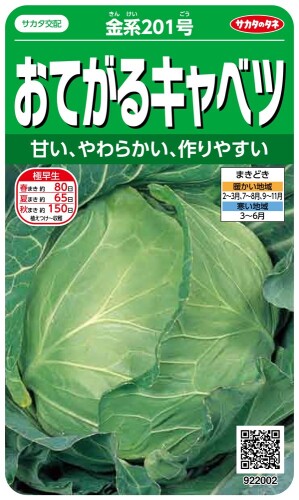 サカタのタネ 実咲野菜2002 おてがるキャベツ 金系201号 00922002