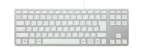 Matias Wired Aluminum Tenkeyless keyboard for PC Silver 日本語配列 USB シルバー