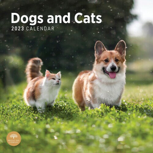 2023 Dogs and Cats Monthly Wall Calendar by Bright Day, 12 x 12 Inch, Cute Dog Puppy Cat Kitten