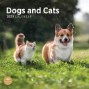 2023 Dogs and Cats Monthly Wall Calendar by Bright