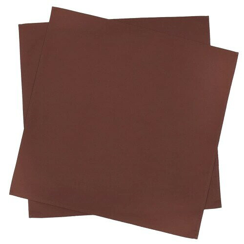 スタイルデコール(STYLE Decor) テーブルナプキン/トーション 2枚セット 無地オックス・カフェブラウン 布巾 ふきん ナフキン カラーナプキン 厚手 食器拭き W5103400