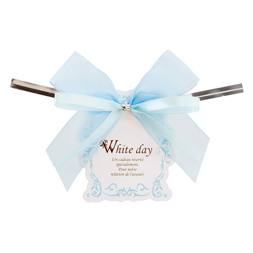 リボン付ワイヤータイ ホワイトデイ タグ付 ダブルリボン (10個) WD-YT4