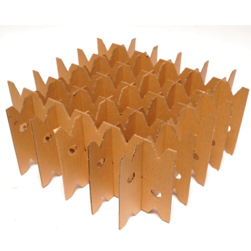 ピクタ 昆虫用足場バグハウス その他 コオロギ は虫類