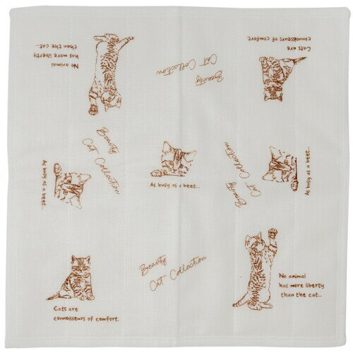 コージカンパニー ふきん 日本製 かや生地 綿 レーヨン キジトラ 30×30cm ホワイト 174018