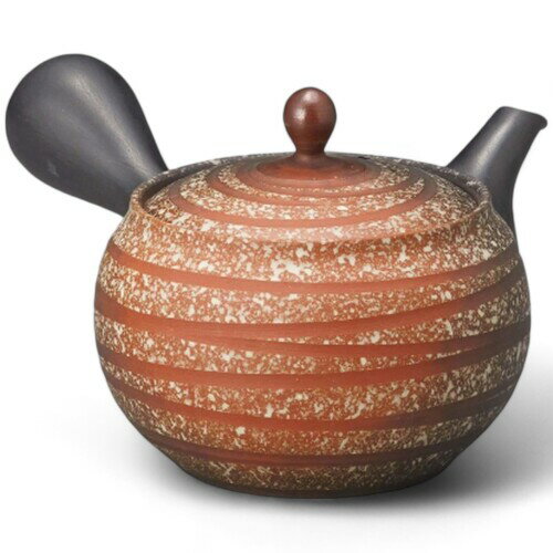 J-kitchens 緑茶 ポット 常滑焼 セラメッシュ網 急須 茶こし 付 310cc 日本製