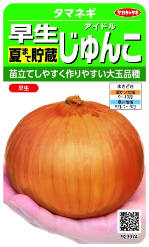 サカタのタネ 実咲野菜3974 タマネギ 早生夏まで貯蔵アイドルじゅんこ
