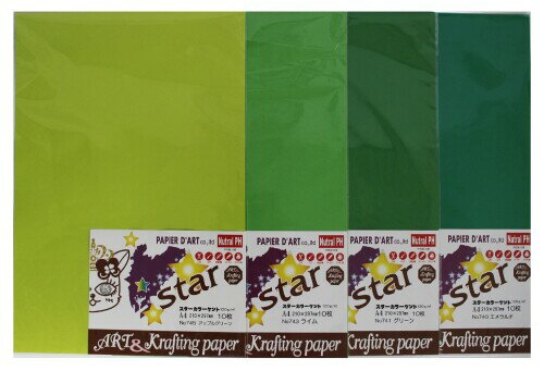  Ȼ 顼 A4 ꡼4 10祻å 5030008