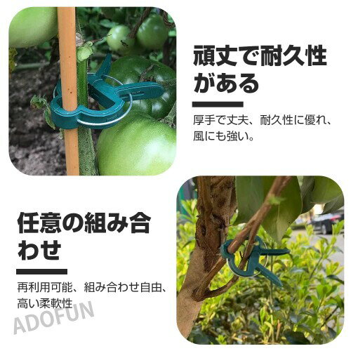 ADOFUN ��ʪ����åץ��꡼�� �ץ饹���å� ����å�