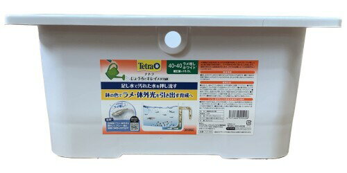 テトラじょうろでキレイメダカ鉢40...