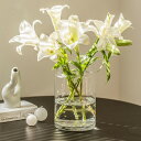 YHOMBES ガラス 花瓶 大 おしゃれ フラワーベース 大きめ 透明 花器 水栽培 生け花 造花 おしゃれ シンプル インテリア 花瓶 オシャレ (クリア ...
