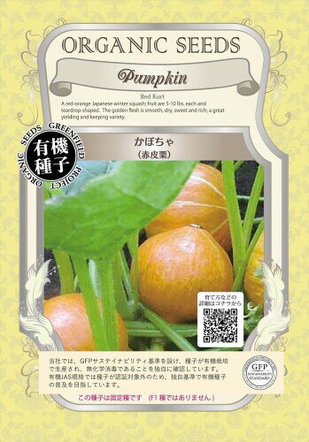 グリーンフィールドプロジェクトかぼちゃ(赤皮栗) A069