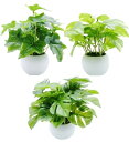 MedianField 消臭 & 抗菌 フェイクグリーン 造花 鉢 人工観葉植物 おしゃれ インテリア 雑貨 人工 フェイク グリーン 卓上 緑 植物 鉢植え 葉 小さい ギフト (光触媒 モンステラ ポトス アイ