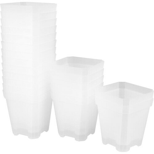 Glass Bowls - LIOOBO 育苗ポット 苗プランター 苗ポット プラスチック鉢 植木鉢 四角形 根腐れ防止 底穴あり 多肉植物用 繰り返し使用可能 ガーデニング 園芸用品 20個セット（透明）