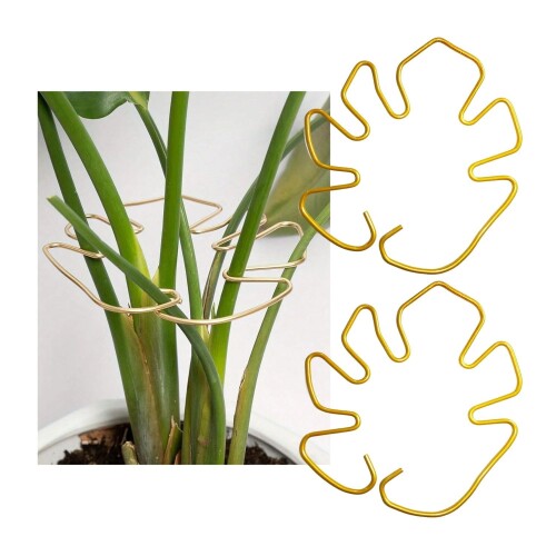 (sunbobby) モンステラ ガーデンピック 2本セット 園芸 装飾 植物サポート 観葉植物 鉢植え用 室内外対..