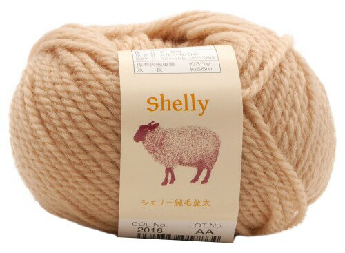 元廣(Motohiro) スキー 手編み毛糸 シェリー純毛並太(10玉セット) Col.2016