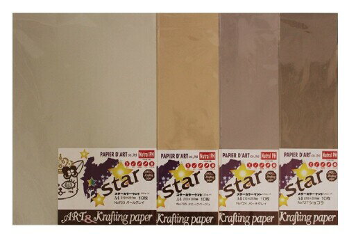  Ȼ 顼 A4 졼4 10祻å 5030010